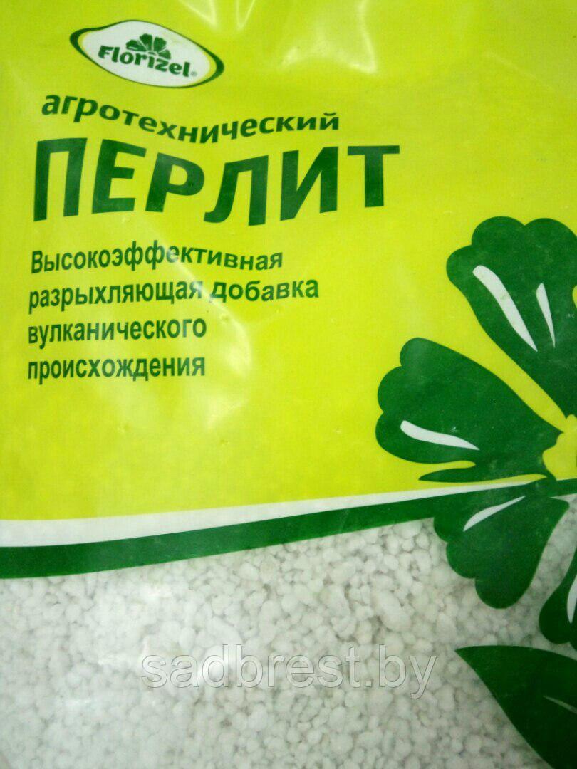 Перлит Купить Оптом От Производителя