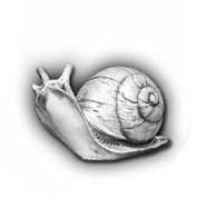 Улитка бетонная — С 118