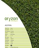 Искусственный газон Oryzon Astra, "OROTEX" Бельгия, фото 8