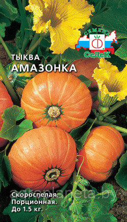 Тыква АМАЗОНКА, 1.5г: семена, семена овощных культур, семенами, семена ...