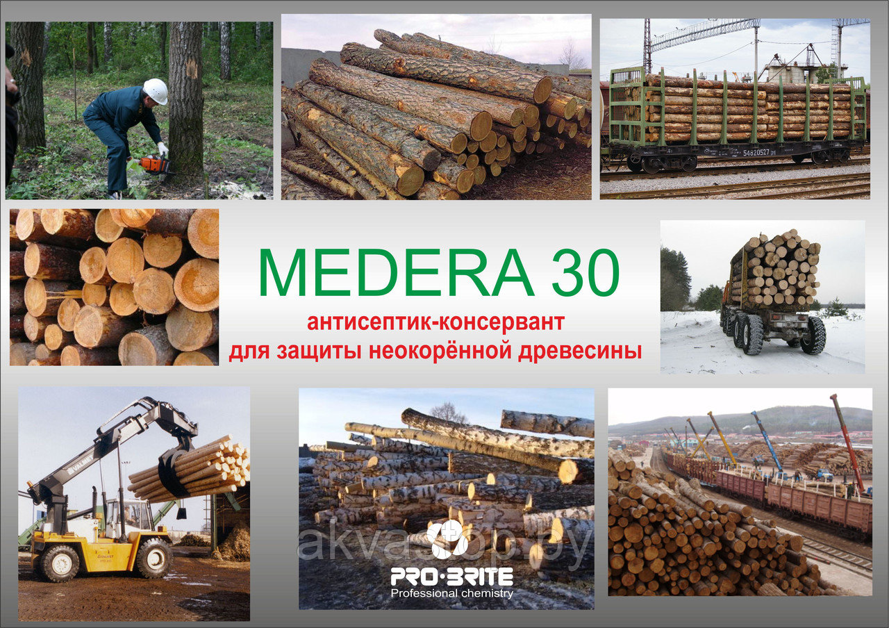 Антисептик для круглого леса MEDERA 30 Concentrate 1:20 226кг. 1130 килограмм - фото 2 - id-p73074578