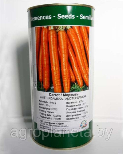 Семена моркови Амстердамская - фото 1 - id-p3349370