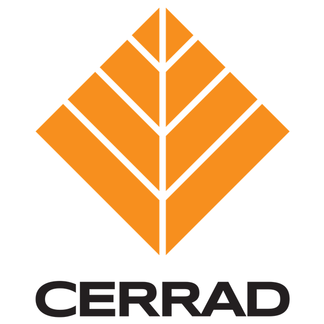 КЛИНКЕР CERRAD-КЛИНКЕР ЦЕРРАД Клинкерная плитка. - купить в Минске от ...
