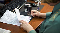 Более дюжины российских таможенных представителей были лишены статуса с начала года
