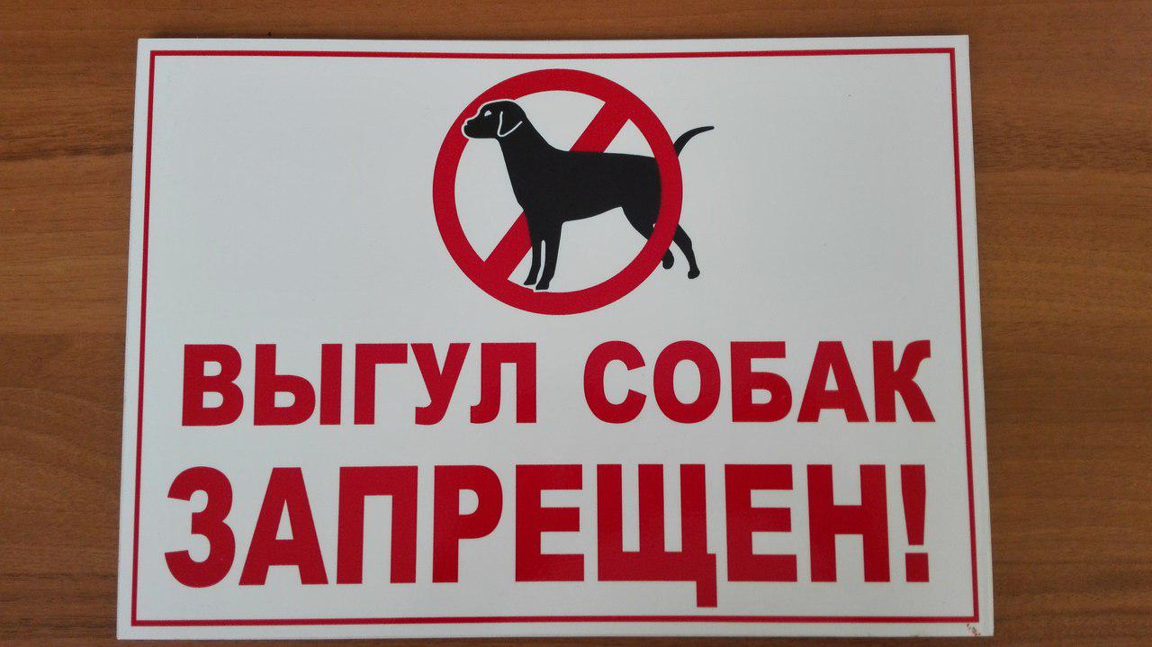 Табличка "Выгул собак запрещен"