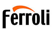 Электрокотлы Ferroli