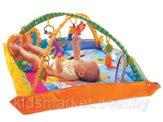 Детский развивающий коврик Tiny Love Gymini Kick & Play 0128054 - фото 3 - id-p73425734