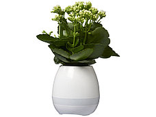 Динамик Green Thumb Flower Pot с Bluetooth®, фото 2
