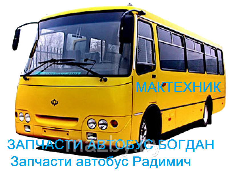 Ремкомплект главного тормозного цилиндра (резиновые манжеты) Богдан