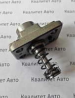 Плунжерная пара ТНВД CP1 F01M100869 KIA, HYUNDAI, NISSAN, OPEL, RENAULT, ГАЗ, SUZUKI, INFINITI