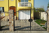Ворота с коваными элементами, фото 6
