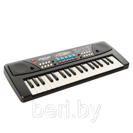 Детский синтезатор пианино BIGFUN BF-430C USB, с MP3 плеером, микрофоном - фото 3 - id-p73726123
