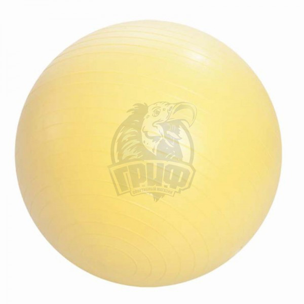 Мяч гимнастический (фитбол) с системой антивзрыв 55 см (арт. FB-55) - фото 1 - id-p73759294